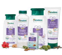 rudraksh pharmacy medical store vadodara